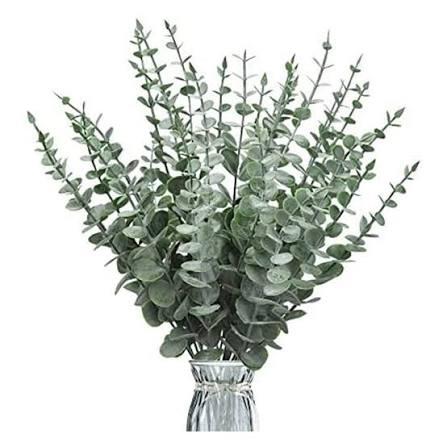 Eucalyptus Baby Blue