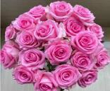 Rose Wake up Rani Pink