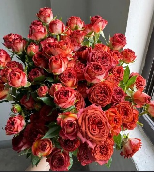 Spray Rose Chocolate Blubble