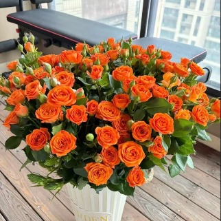 Spray Rose Orange Babe