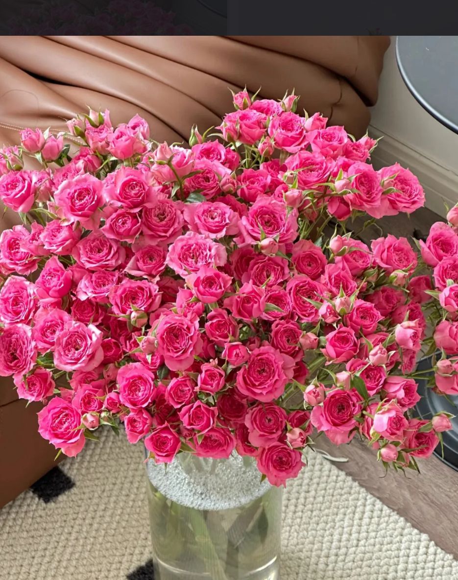 Spray Rose Sophie Baby