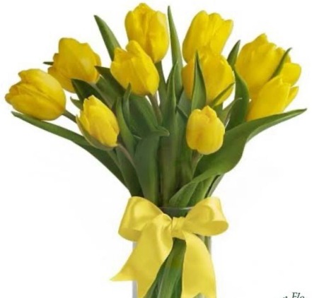 Tulip-Yellow
